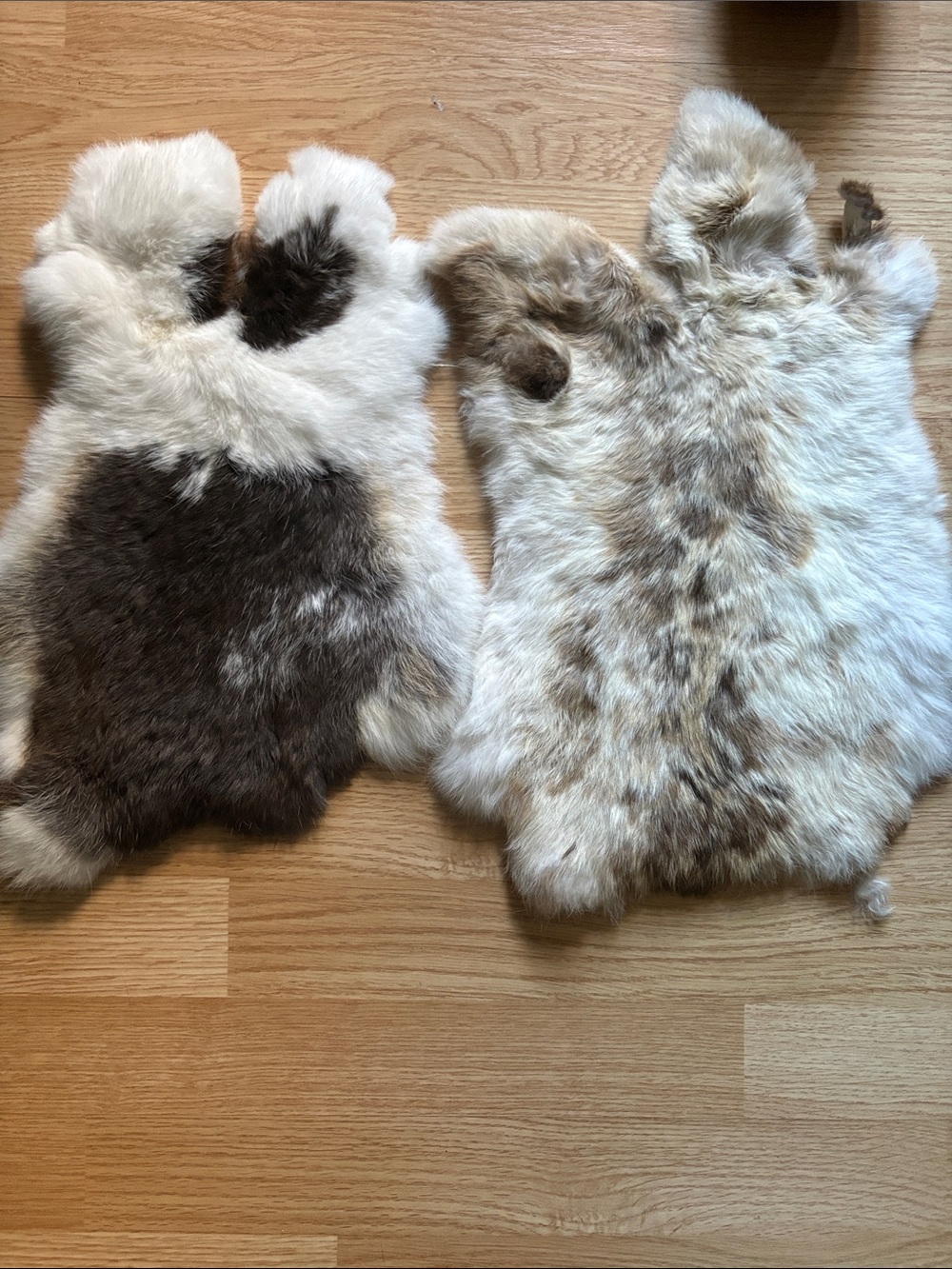 B0207 Pair of Natural Rabbit Pelts - Ivory and Brown Tones